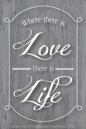 Posted by Cottontail Digital Press at 11:13 PM