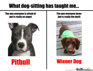pitbulls and wiener dogs