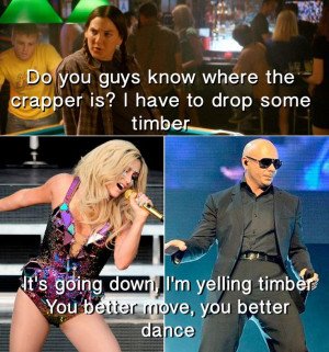 Pitbull Quotes From Songs This house bunny quote always