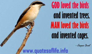 Quotes Of Life God loved the birds and invented trees Man loved the