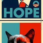 Funny Picture - Grumpy cat obama hope nope