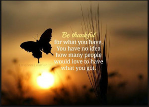 Gratitude = happiness