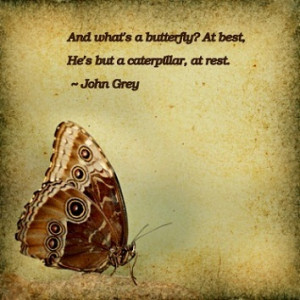 ... quotes about life m butterfly quotes the butterfly effect quote