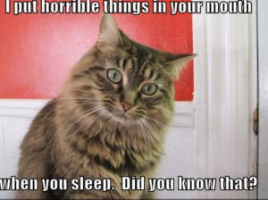 Create free forum and click the links below and your donations will ...