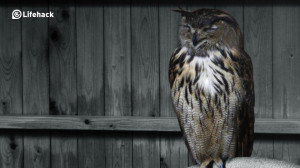 20 Inspirational Sayings for Growth and Personal Insight