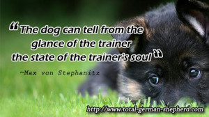 German Shepherd Quotes