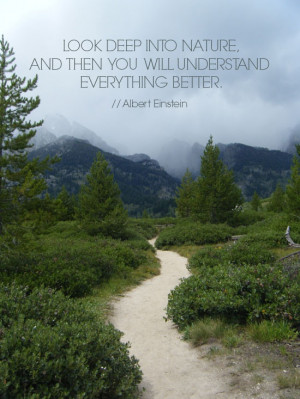 Blog} Albert Einstein + Grand Teton National Park + Happy Links