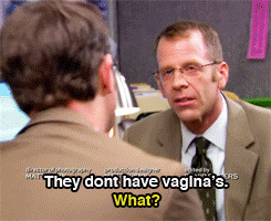 the office rainn wilson dwight schrute Toby Flenderson officegif