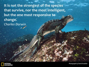 ... Galapagos Marine Iguana with a Darwin quote on survival of the species