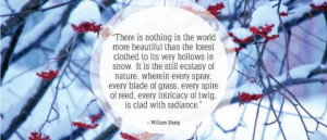 ... Quotes of the Day post. Here are twenty quotations about snow