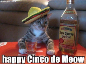 Have a happy Cinco de Mayo or, as the photo suggests, Cinco de Meow. # ...