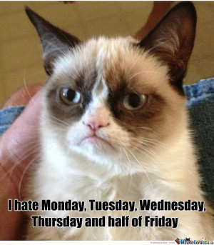 Hate Monday, Tuesday, Wednesday, Thursday And Half Of Friday