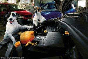 Great auto repair shop staff (12 pics)