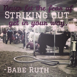 ... to the show circuit! Happy Opening Day to all my show cattle friends