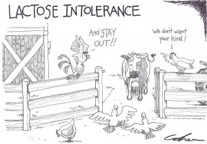 what causes lactose intolerance - lactose intolerancejpg [600x419 ...