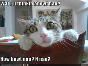 funny-pictures-cat-wonders-what-you-are-thinking