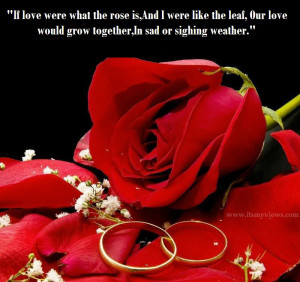 most-romantic-rose-picture-with-sweet-romantic-love-poetry-to-share-at ...
