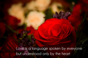 Love is a language spoken by everyone but understood only by the heart ...