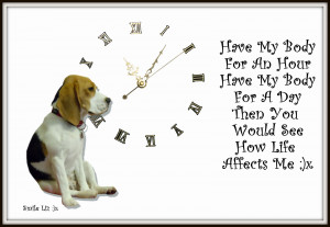 My Beagle Smiles ... My Poems ... My Quotes