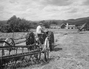Farmer Robert Pikes’ daughter Joyce age 16, operates a side delivery ...