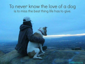 Pinned by Rhonda Guger