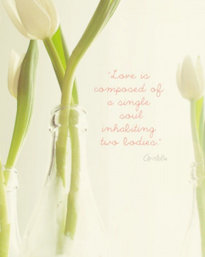 Valentine's Day Love Quote White Tulip Aristotle by happeemonkee, $30 ...