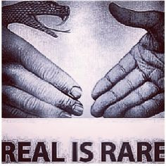 snake in the grass snakes in the grass