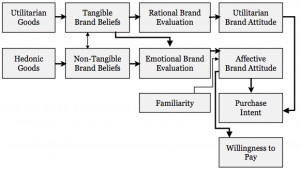 Emotion and Reason in Consumer Behavior: Chapter 3: Attitude Formation