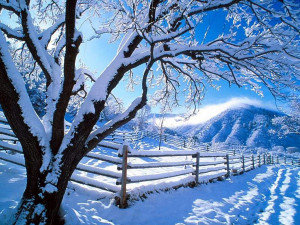 Enjoy these beautiful pictures of snow. To view the snow pictures in ...