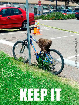 Funny Picture Bee Swarm...