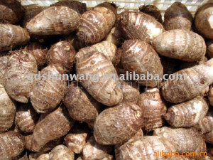2011_fresh_vegetable_taro_120g.jpg
