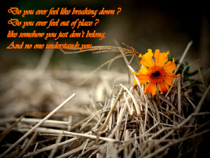 Do you ever feel like breaking down?