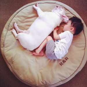 boy and french bulldog by ayasakai (5)