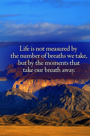measure of life