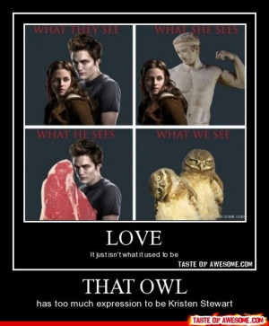 funny twilight picture