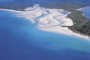 Estuary Ecosystem Food Chain