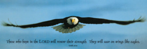 Inspirational - Eagle Poster