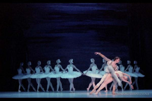 Swan Lake Picture Slideshow