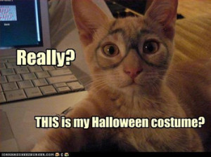 Funny Pictures: Should Pets Wear Halloween Costumes?
