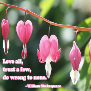 ... william shakespeare category love more text quotes more image quotes