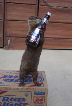 Bud Light Drinker , Funny Animals