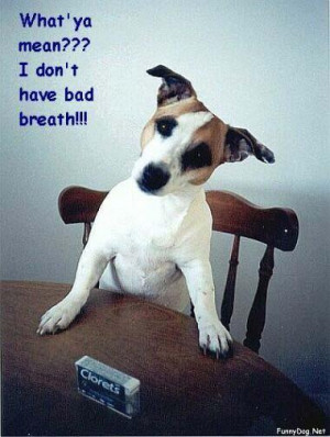 funny photos funny picture bd funny picture bd fun bangladeshi