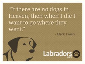 Article Tags: # quotes # Mark Twain