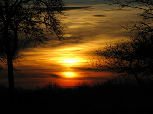 view original image )