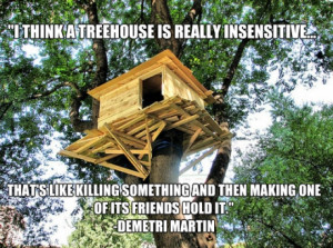 The truth about tree houses…