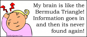 Like My Brain Is the Bermuda Triangle