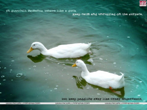 ... wallpaper on Difficult :In Difficult moment Behave like a duck