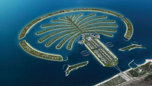 Dubai Palm tree Jumeirah latest HD desktop wallpaper free