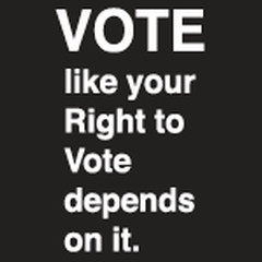 16 vote like your right to vote depends on it