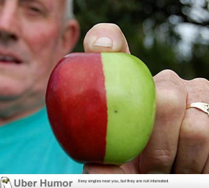 Random genetic mutation: half red golden delicious apple